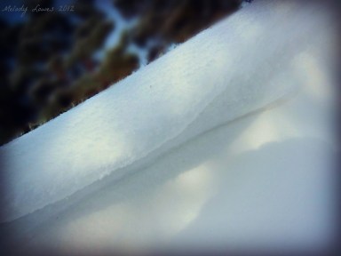 sparkly snowdrift shadowed