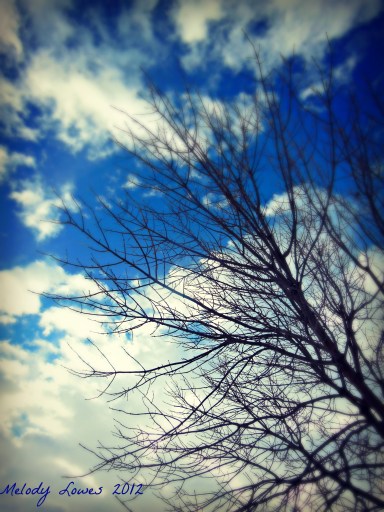blue winter sky