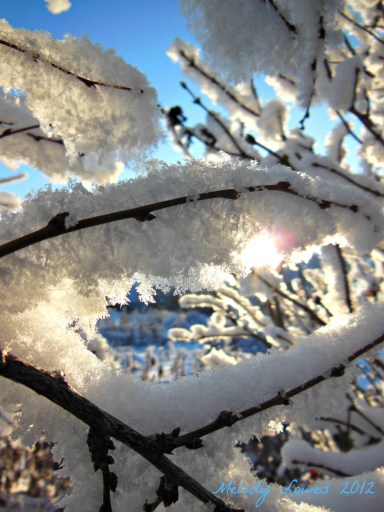 hoarfrost sunlight