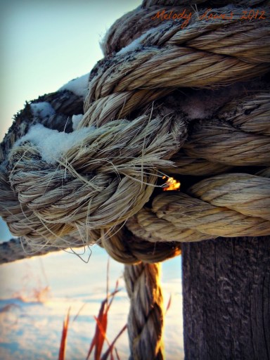 sunset rope