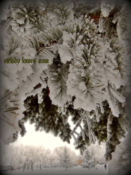 winterwonderlandwindow