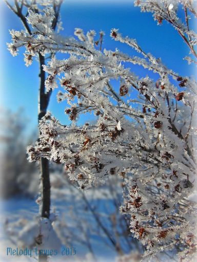 sparklyhoarfrost