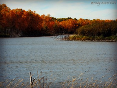 autumn slough