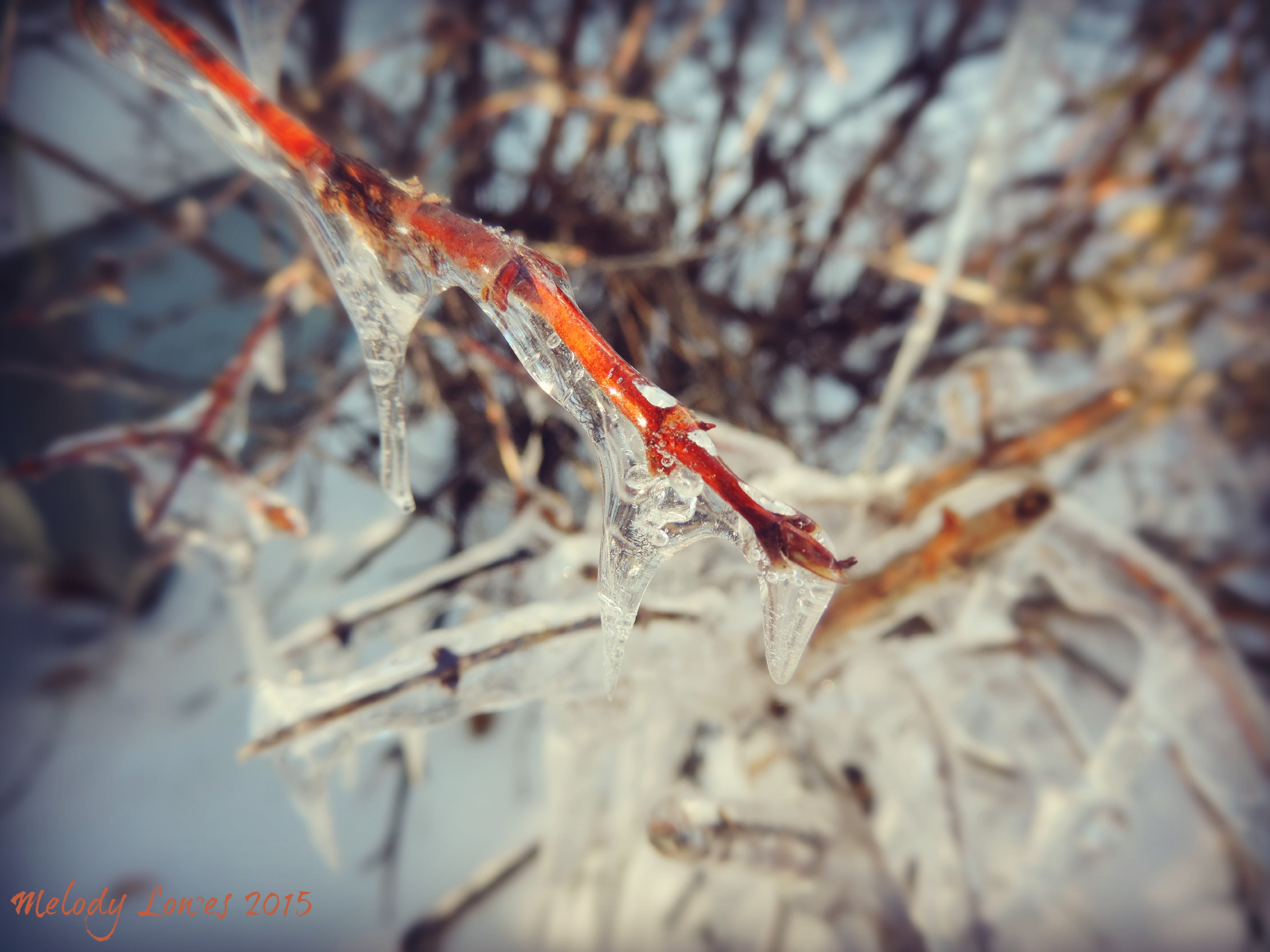 march-ice