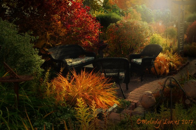 autumn resting place